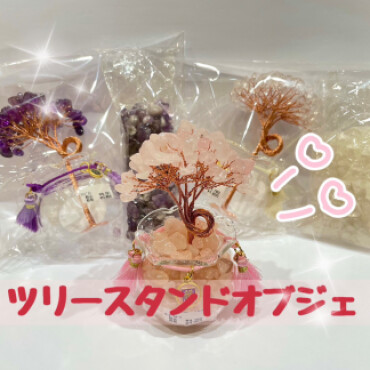 新作浄化アイテム入荷🪴✨✨