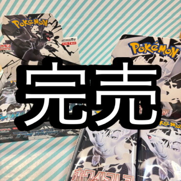 🌟完売🌟