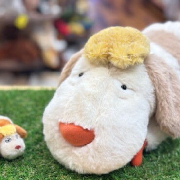 待望の入荷！！ヒン🐶