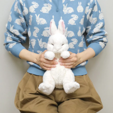 ひざうさぎすやすや