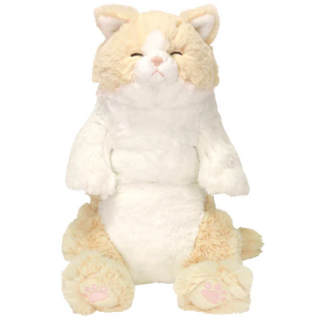 ひざねこ すやすや