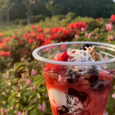 新作！グリークヨーグルト🍓🫐🥥🍯