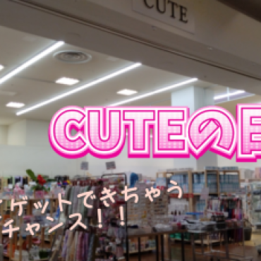 2日間限定、CUTEの日❣