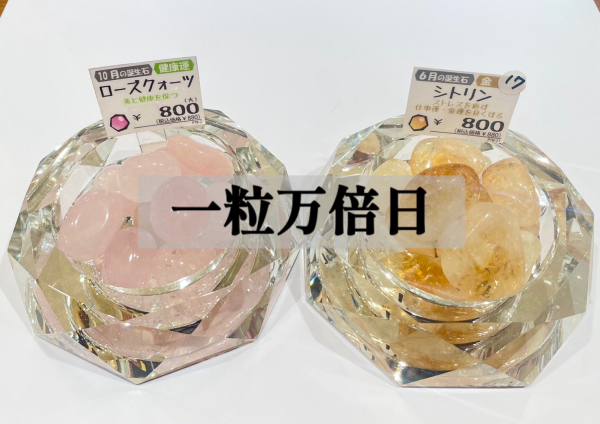 ✨✨一粒万倍日✨✨