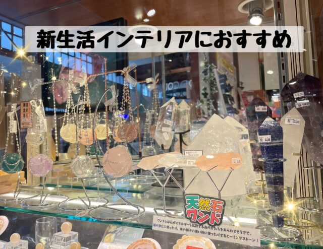 新生活のインテリア🌸✨