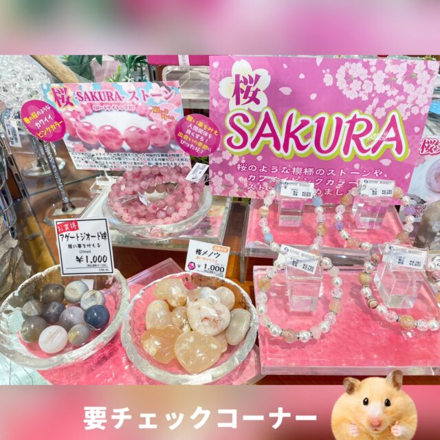 桜ストーンコーナー🌸✨