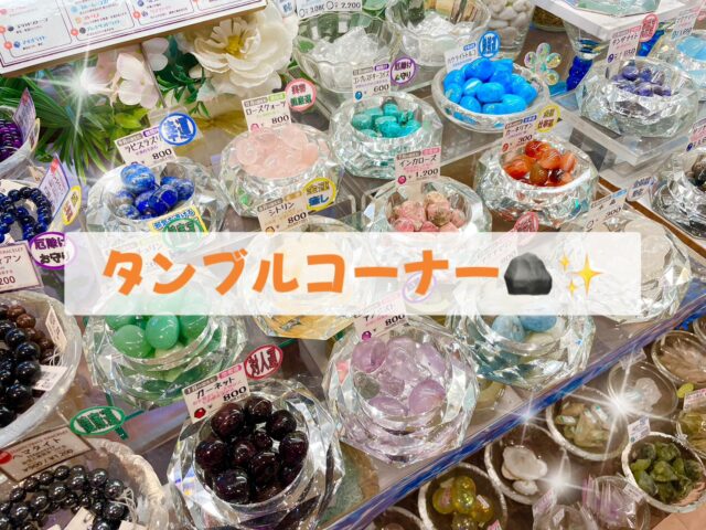 ✨✨タンブルコーナー✨✨