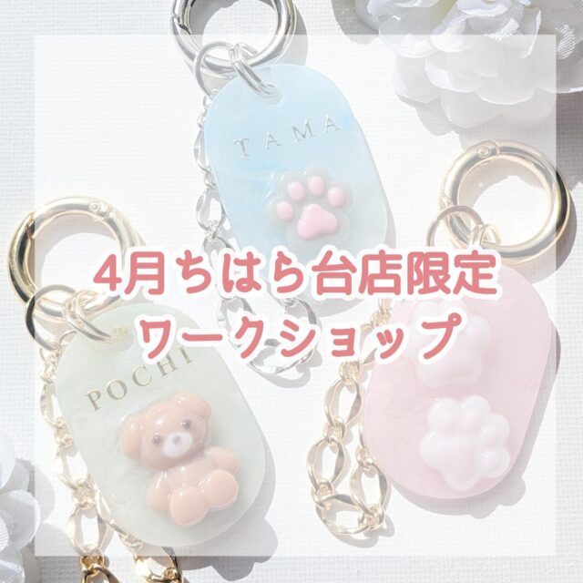 本日開催🐾ワークショップ