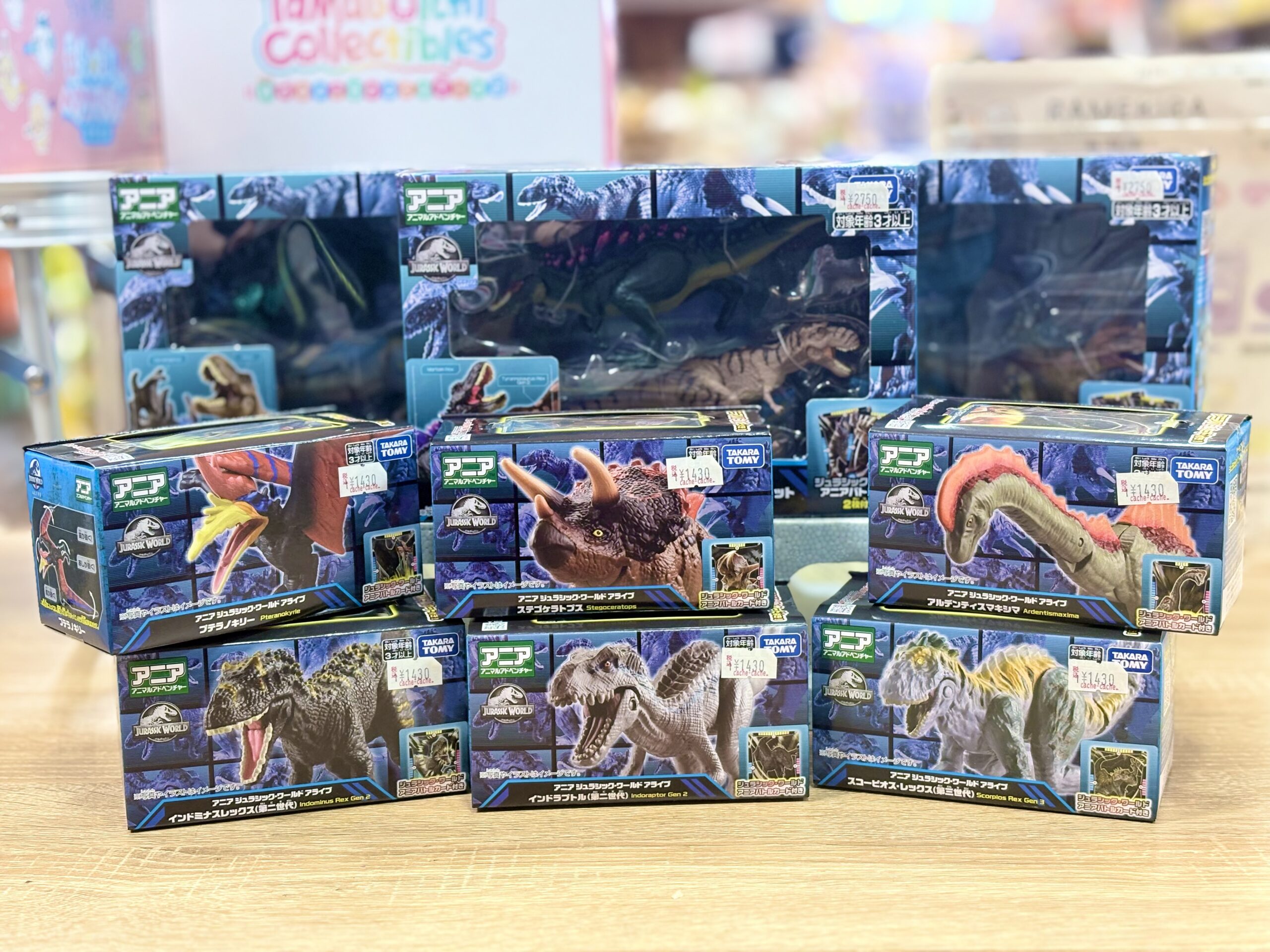 アニミューン 新品 6個 アニア新商品 🦖⸒⸒ ｜ cache-cache ｜ UNIMO ユニモちはら台