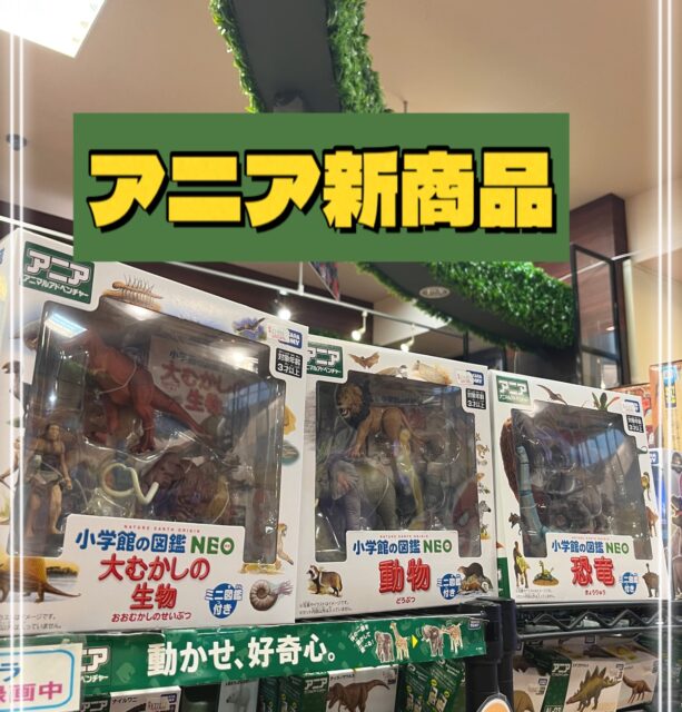 アニア新商品