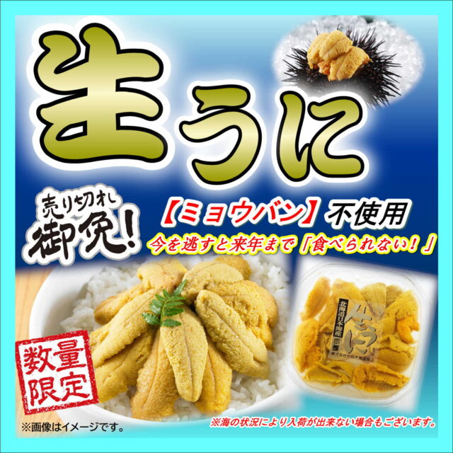 【北海道から直送！生うにの入荷情報！】