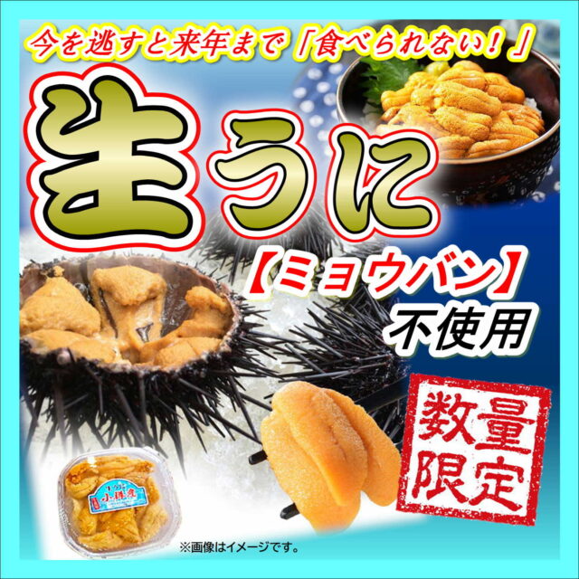 【今シーズン初入荷！北海道直送『生うに』が本日入荷！】