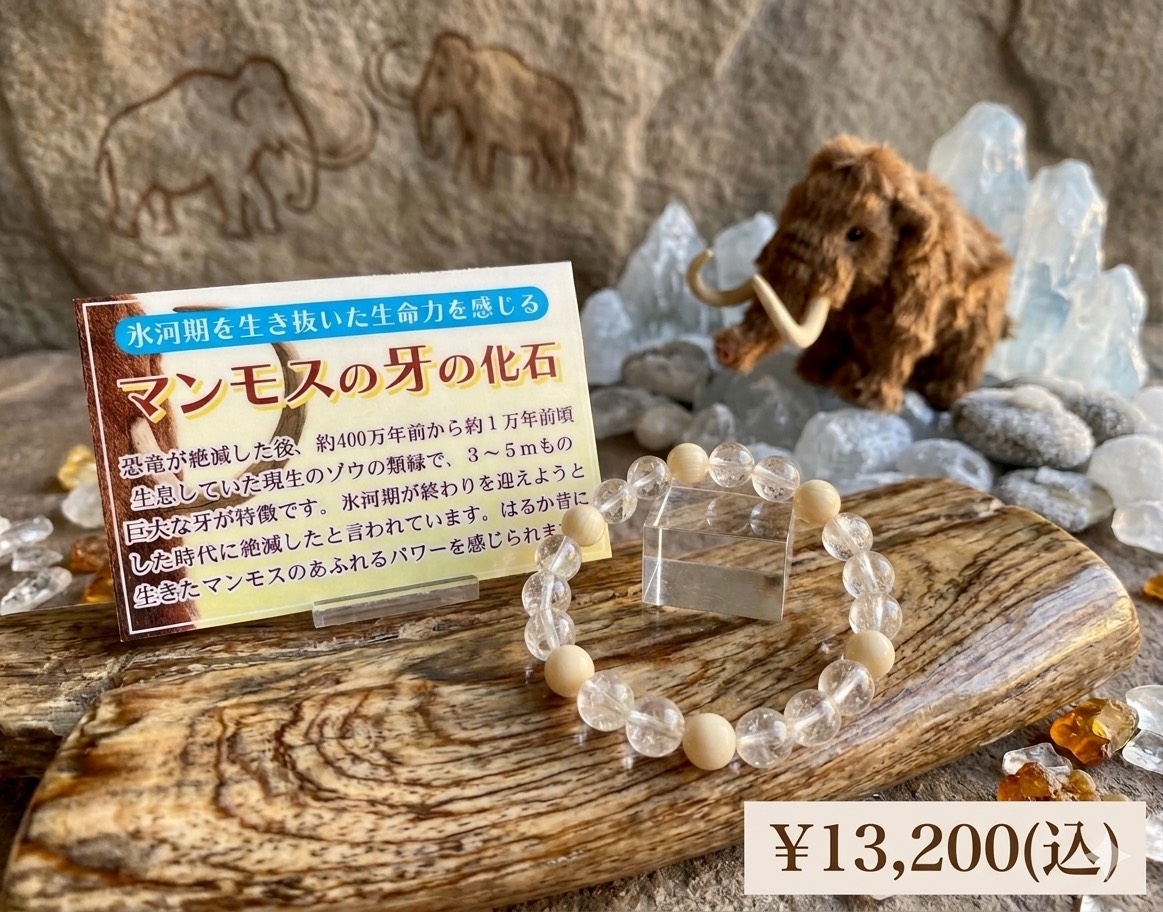 ✨マンモス牙の化石ブレスレット🦣✨ ｜ ストーンマーケット ｜ UNIMO