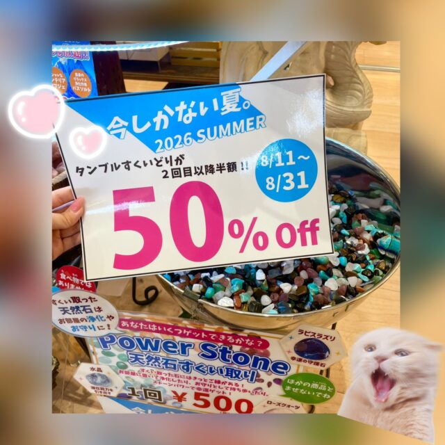 ✨SUMMER SALE タンブルすくいどり✨