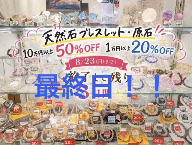 ✨本日お買い得SALE最終日✨