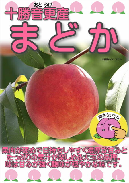 希少な北海道産「もも」まどか　数量限定入荷！