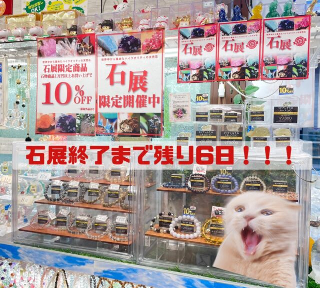 ✨石展開催中 残り6日‼️✨