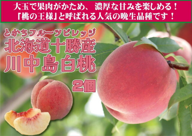 北海道・十勝で育った大玉桃「川中島白桃」入荷!