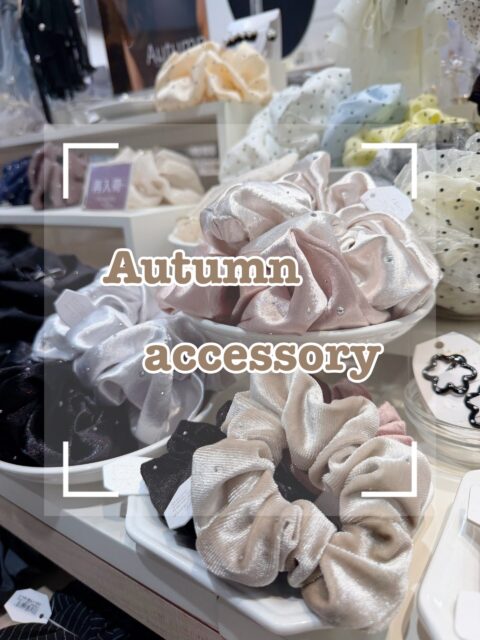 秋物新作アクセサリー🍁🍂